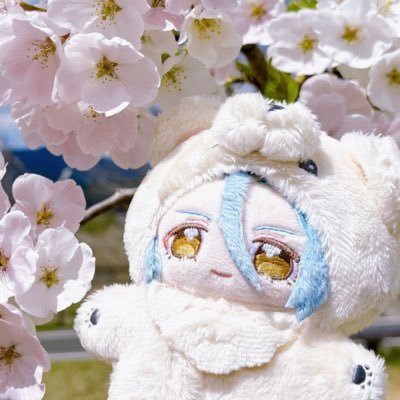 fwfw__ni's profile picture. ぬいとの日々