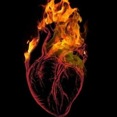 KennyMorak11586's profile picture. 