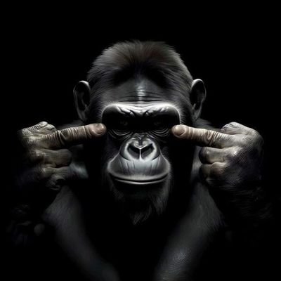 molef36481's profile picture. Fuck wat they think

young and upcoming