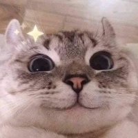 𝕂𝕂💚รอเจอกัซแล้ววว✨ (@pairrie10) 's Twitter Profile Photo 𝕂𝕂💚รอเจอกัซแล้ววว✨ (@pairrie10) 's Twitter Profile Photo