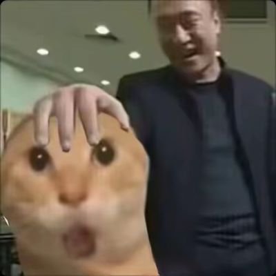 UAKcLKMloaih9wp's profile picture. 