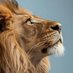 Lion_heart🦁❤️🔥💦 (@lionheartk56) Twitter profile photo Lion_heart🦁❤️🔥💦 (@lionheartk56) Twitter profile photo