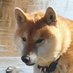 旅々 (@kumotabi25) Twitter profile photo 旅々 (@kumotabi25) Twitter profile photo