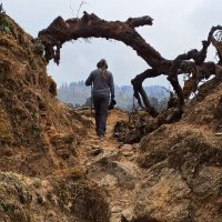 Jaidev Jamwal (@jaidevjamwal) 's Twitter Profile