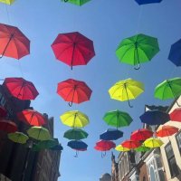 Bedford Borough Local Offer (@bedfordlocalof1) 's Twitter Profile Photo