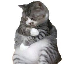 silver_Y1's profile picture. 