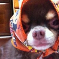 Haneul Jun (@haneuljun193329) 's Twitter Profile