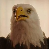Thulsa Diablo (@diablothulsa) 's Twitter Profile Photo Thulsa Diablo (@diablothulsa) 's Twitter Profile Photo