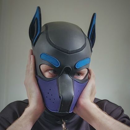 PupUmmm's profile picture. awoo