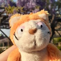 ねこじろう (@catjiro417) 's Twitter Profile Photo