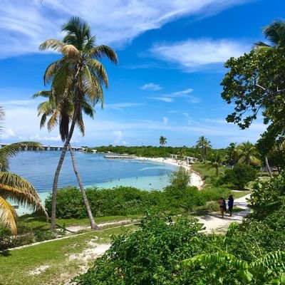 NuhMetin94523's profile picture. 