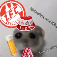 Backup Hamster (@koelner_hamster) 's Twitter Profile
