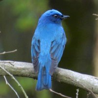 青に夢中💙 (@tqddbjnfwv94081) 's Twitter Profile Photo