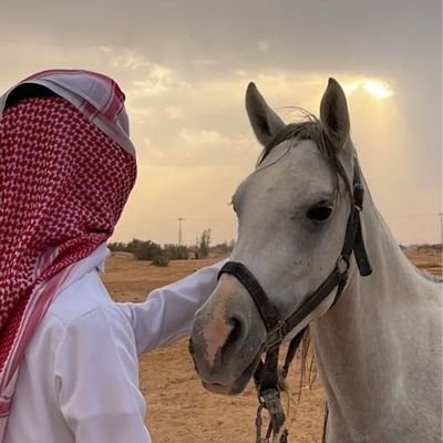 قارئ سلوك وسيولة، فني كلاسيكي وموجي، مصمم استراتيجيات ومعادلات تداول.
متقن لبرامج التحليل الفني.
الرد حسب التفرغ، والدعم هنا لوجه الله.🌹