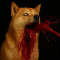 吐血／Hachi (@hachi19821110) 's Twitter Profile Photo