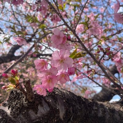 ゆさんのプロフィール画像