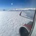 Aviator 737 (@aviationguy737) Twitter profile photo Aviator 737 (@aviationguy737) Twitter profile photo