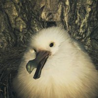 ARMY (@army__game) 's Twitter Profile