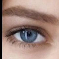 @ilona260720🧡 (@dechevrance) 's Twitter Profile