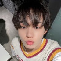 plerdplern (@p1erdp1ern) 's Twitter Profile