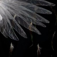 bb1 (@myo2_22) 's Twitter Profile