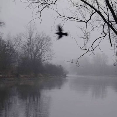 neo4xaa's profile picture. 