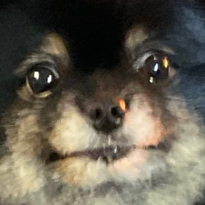 殺し屋さんのプロフィール画像