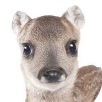 kero (@kerulips) 's Twitter Profile