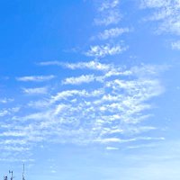 駆け上がれTJ🐯🌟 (@gogo_tj1234567) Twitter profile photo