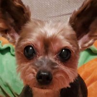 はっぴーママ🍞 (@happymama_dayo) 's Twitter Profile