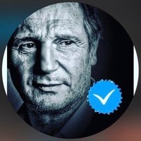 Liam Neeson (@liamneeson3676) 's Twitter Profile