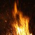 FIREBRAND (@undried) Twitter profile photo FIREBRAND (@undried) Twitter profile photo