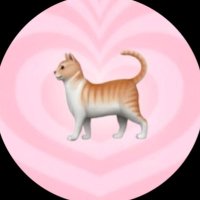 みゆ (@503_rai) 's Twitter Profile
