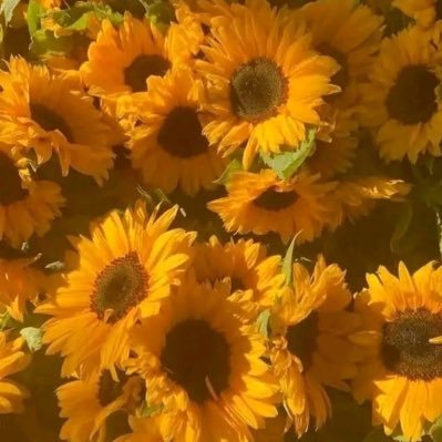 krzysztoftony33's profile picture. ❤️❤️
