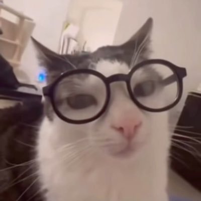 indubiopromv's profile picture. estudante de direito 8/10, estagiária e concurseira nas horas vagas