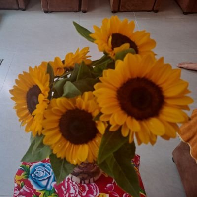 GiangV94895788's profile picture. Vui tính