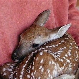 Alina2456797's profile picture. 