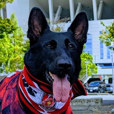 無言·無断フォローごめんなさい。中学3年でJ開幕。駒場でとある選手に声掛けされてからずっと浦和サポーター。今は指定席だけど手は常に真っ赤。浦和で生まれて育ち働いてます。浦和とつくものみんな好き。特に浦和レッズは大好きなおじさん。
たまに呟くけど『そうだっ!そうだっ!』と思う呟きには、めちゃくちゃ『いいネ』します。