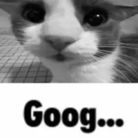 Googs Call Center (@wildcardsmells) 's Twitter Profile