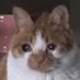 l来来来 (@1315006496l) Twitter profile photo l来来来 (@1315006496l) Twitter profile photo