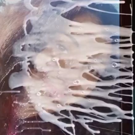 PassionTrib's profile picture. 