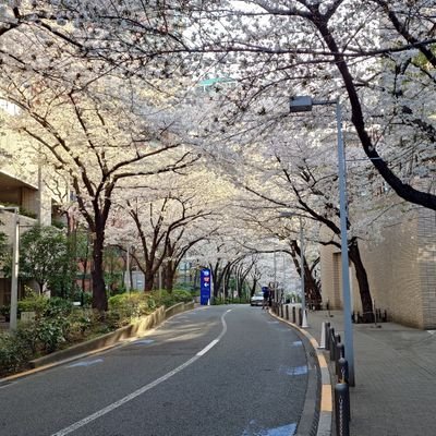 hurutoriten_sha's profile picture. Z世代/システムエンジニア/写真撮影/天体観測/ウォーキング/旧道巡り/旧線巡り/高中正義/CASIOPEA/T-SQUARE/山下達郎/チャーハン/食べるラー油/豚骨ラーメン/油淋鶏/麻婆豆腐/完全メシ

MBTI:ENFJ

東京探索中～