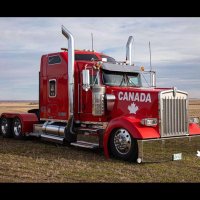 🪶❤️🇨🇦 (@tasharphead) 's Twitter Profile