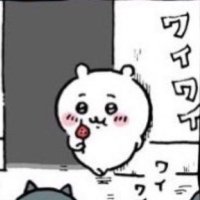 たぬき (@bottomofdr) 's Twitter Profile