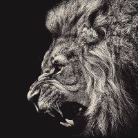 Virus (@radicalrudy26) 's Twitter Profile Photo Virus (@radicalrudy26) 's Twitter Profile Photo