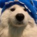 李 (@lmxloveln999) Twitter profile photo 李 (@lmxloveln999) Twitter profile photo