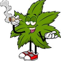 大阪手押しミナミ手押し心斎橋手押し梅田手押し (@amalee76240) 's Twitter Profile