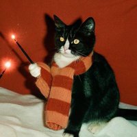 ᵉʳʳᵒʳ (@4042rror) 's Twitter Profile Photo ᵉʳʳᵒʳ (@4042rror) 's Twitter Profile Photo