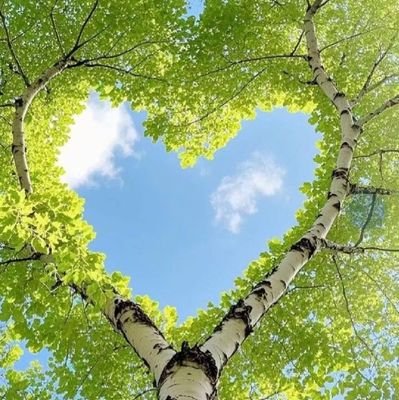 michel_cha46473's profile picture. 