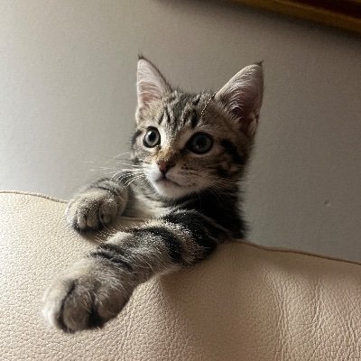 59Dipendente's profile picture. Nulla era risolto.